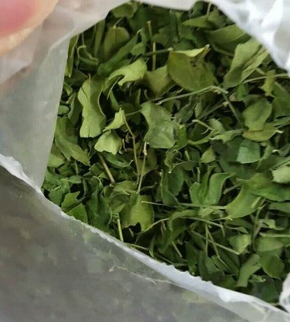 Moringa oleifera dry leaf drum stick herbal tea skin and hair healthy new product-