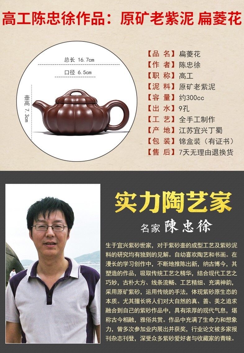 300cc Handmade Purple Clay Tea Pot in Yixing, China BianLingHua Hu Tea Pot-