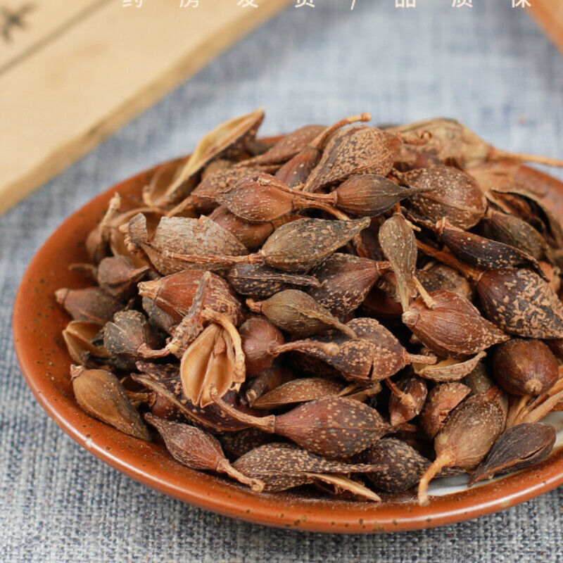 250g /500g High Quality Featured Forsythia Lianqiao Health Top Tea 连翘