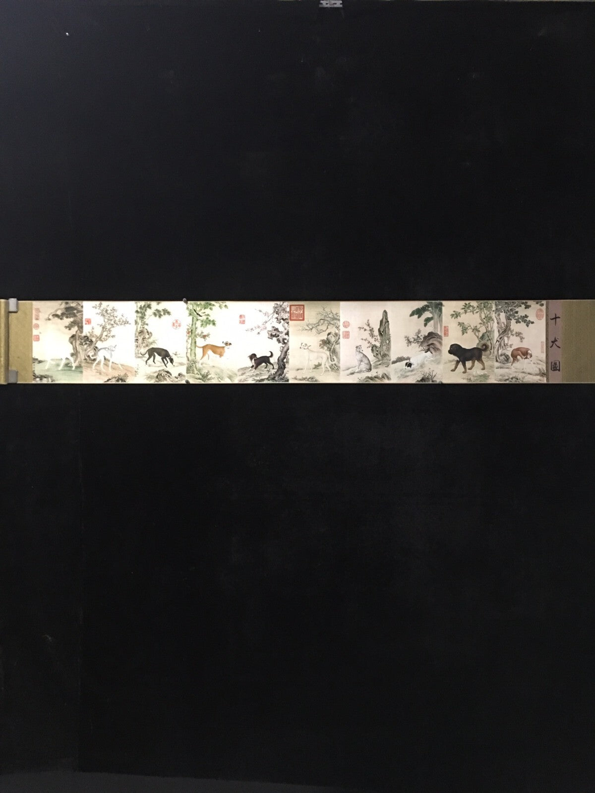 Antique boutique scroll painting, a ten dog painting by Lang Shining