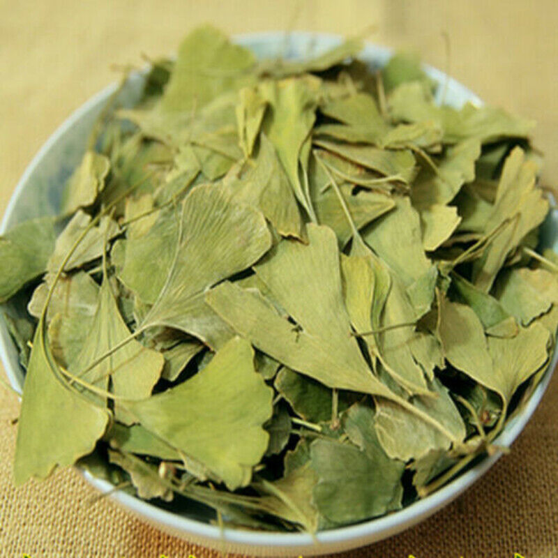 Organic Ginkgo Biloba Leaves Tea Chinese Loose Leaf Ginkgo Tea Herbal Green Tea