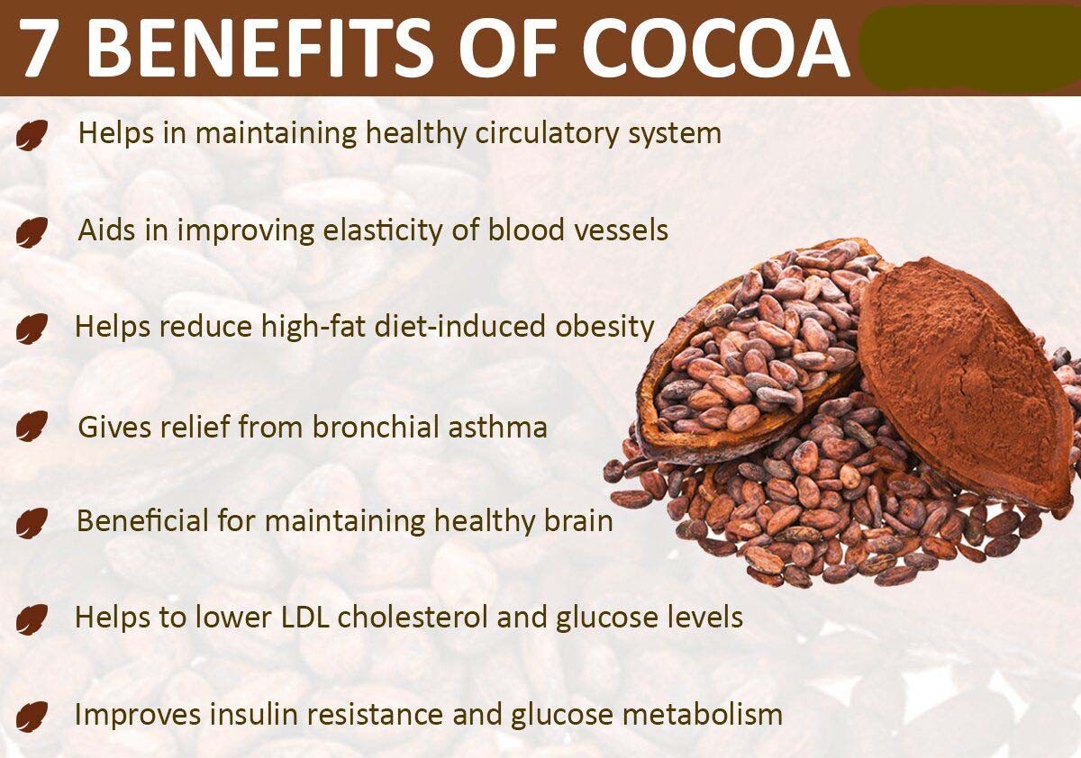 Organic Black Cocoa Cacao whole Beans pure natural shell off Quality A