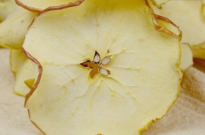Premium Apple Slices Dried Organic Apples Chinese Pure Natural Herb Great