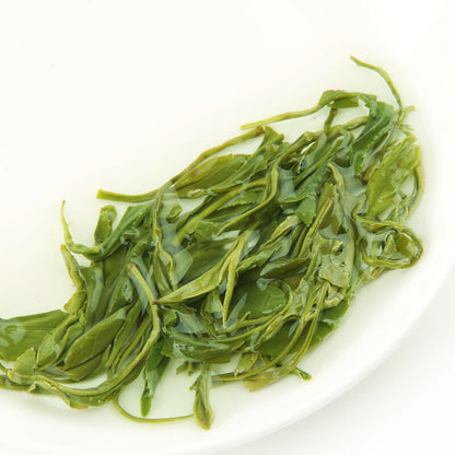 Natural Fresh Xin Yang Mao Jian Xinyang Downy Tip Chinese Maojian Green Tea