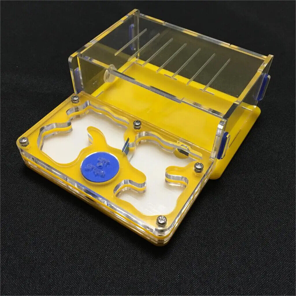 Ant-Grape Series Acrylic Plane Design Feeding Area Insect Antvilla 10.6x12.6x5cm