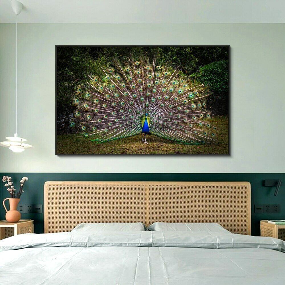 Peacock Print Art Wall Art Picture Posters Animal Canvas Painting Home Decor Art
