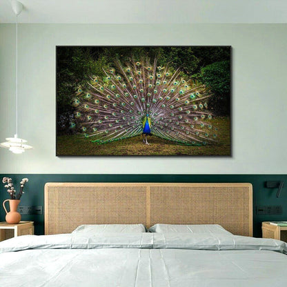 Peacock Print Art Wall Art Picture Posters Animal Canvas Painting Home Decor Art