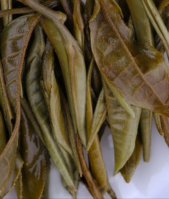 500 grams of white tea, Yunnan Yiwu Renxiu white tea, brick tea, and plum guarding wildlife-
