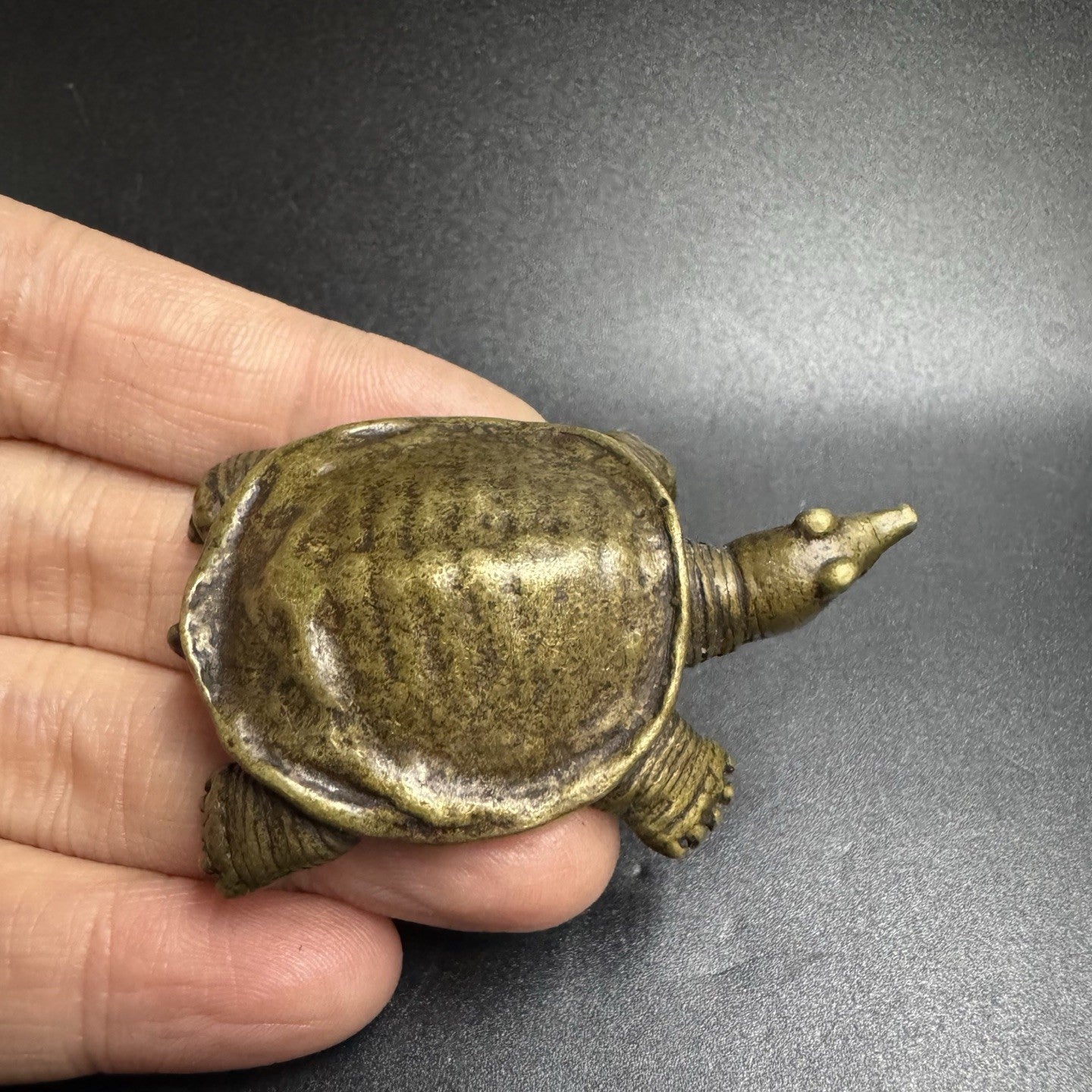 Mini Brass Turtle/Softshell Turtle Figurine Chinese Tea Pet Retro Collectible
