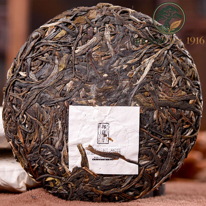 Yunnan Sheng Puer Tea Wild Ancient Tree High Mountain Loose Leaf 100g
