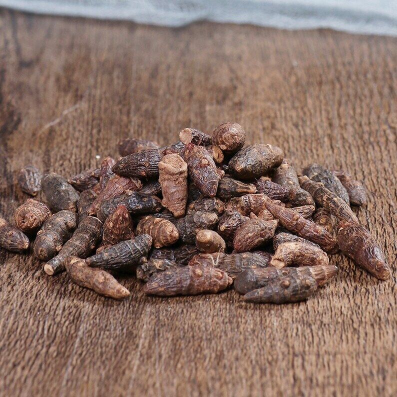 Organic Herbal Nutgrass Galingale Rhizome Rhizoma Cyperi Great Quality