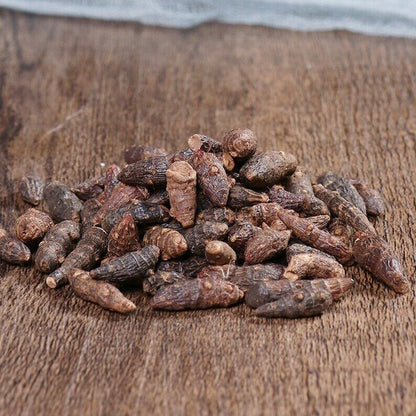 Organic Herbal Nutgrass Galingale Rhizome Rhizoma Cyperi Great Quality