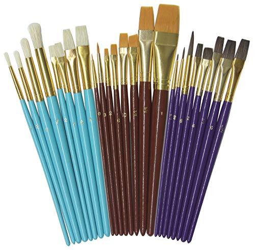 24 Piece Paintbrush Set, Assortment of 3 Different Brush Hairs and 4 Shapes