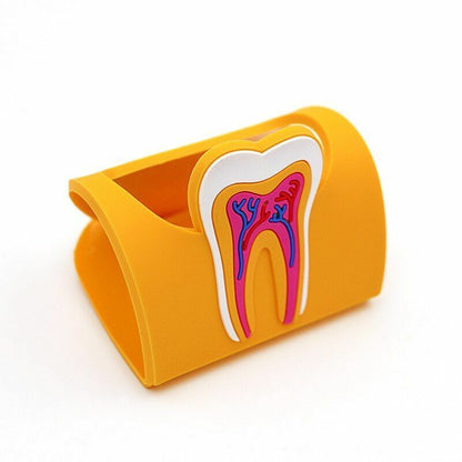 Dental Clinic Tooth Card Display Stands Colorful Rubber Teeth Molar Holder Decor