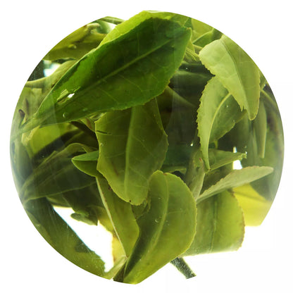 250g Spring Anji Bai Cha Long Jing White Dragon Well Loose Chinese GREEN TEA