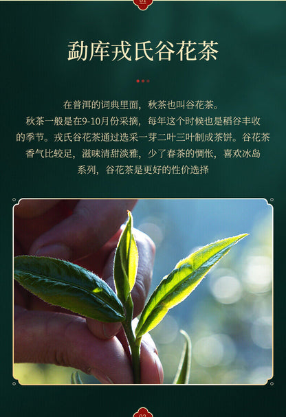 Valley Flowers Puer * 2015 Mengku Rongshi Gu Hua Xiang Autumn Pu'er Tea Raw 200g