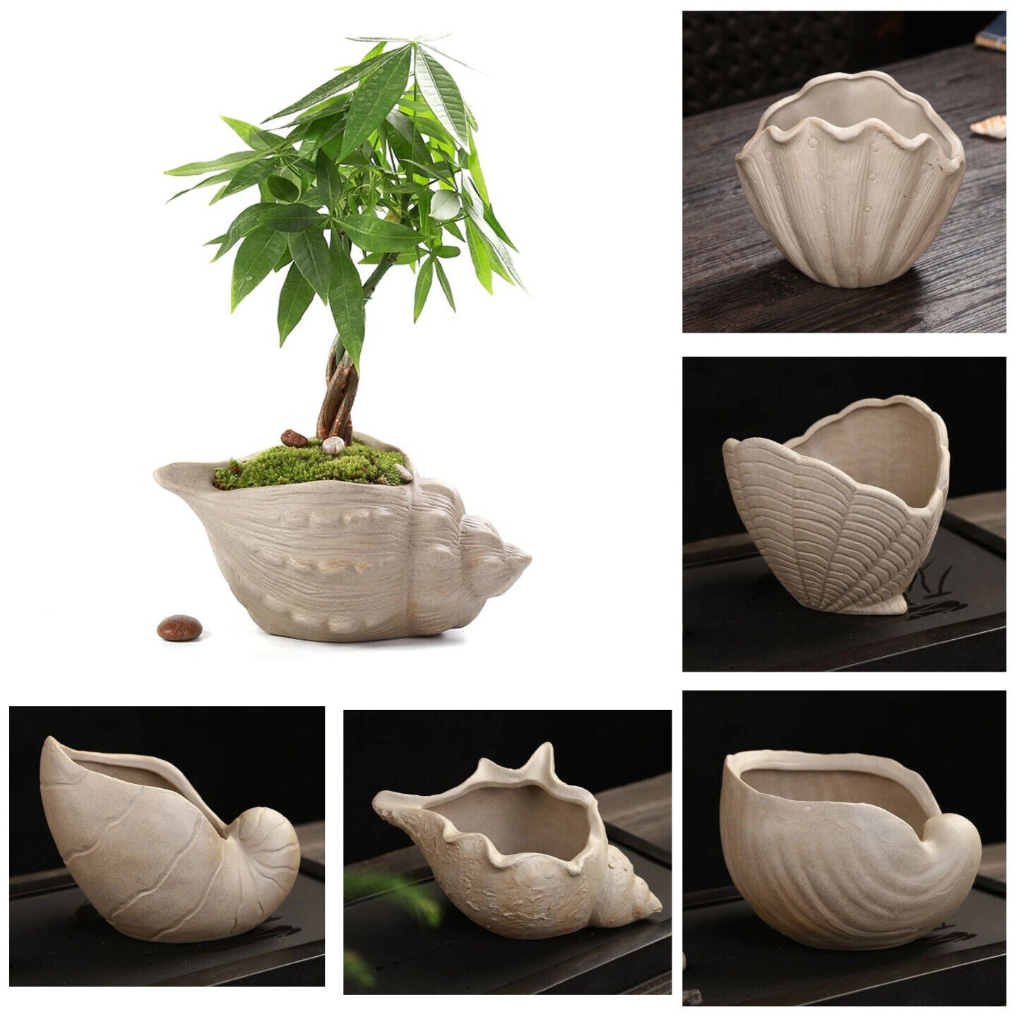 Flower Pot White Pottery Shell Shaped Succulent Plant Holder 21.5x11.5cm Ceramic