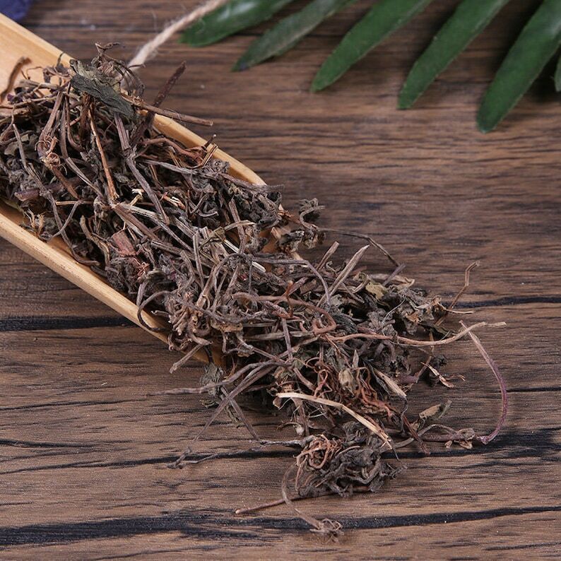 Organic Herbal Ajuga Nipponensis Baimao Xiakucao Whole Herbs Great Quality