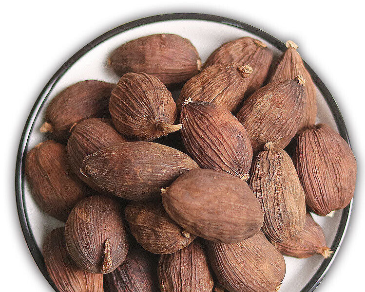 Natural Dried Amomum Costatum Black Cardamom (佛子沙仁) 中式草药-
