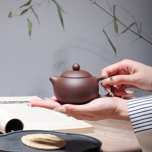 Yixing Zisha Pottery Purple Clay Teapot Mesh Flat Cover Xishi Tea Pot 西施壶