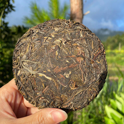 2020 Banzhang King Pu'er tea leaves raw Pu taste dominant good to drink tea 100g