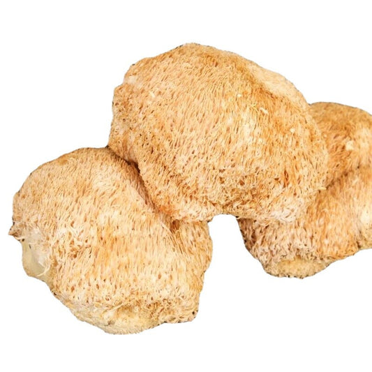 Organic 100% Dried Lion's Mane Mushroom 500g/1.1LB - Premium Quality