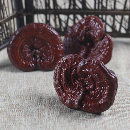 Dried Wild Lingzhi Purple Ganoderma Lucidum Herbal Reishi Mushroom 500g
