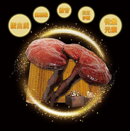100% Pure Powder Of Ganoderma lucidum spores, Ganoderma spore, lingzhi spore