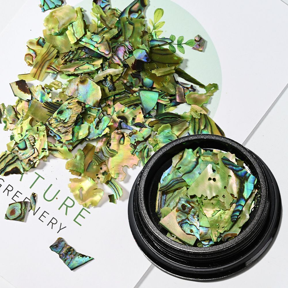 Nail Art Decor 3D Irregular Abalone Natural Sea Shell Stones DIY Accessory 1 Box