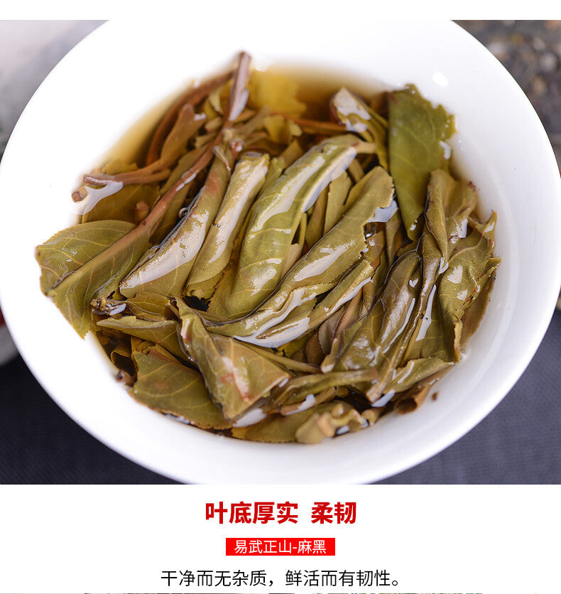 2021 Haiwan Yi Wu Zheng Shan Shen Puer Tea Ma Hei Famous Old Tree Raw Pu'er 500g