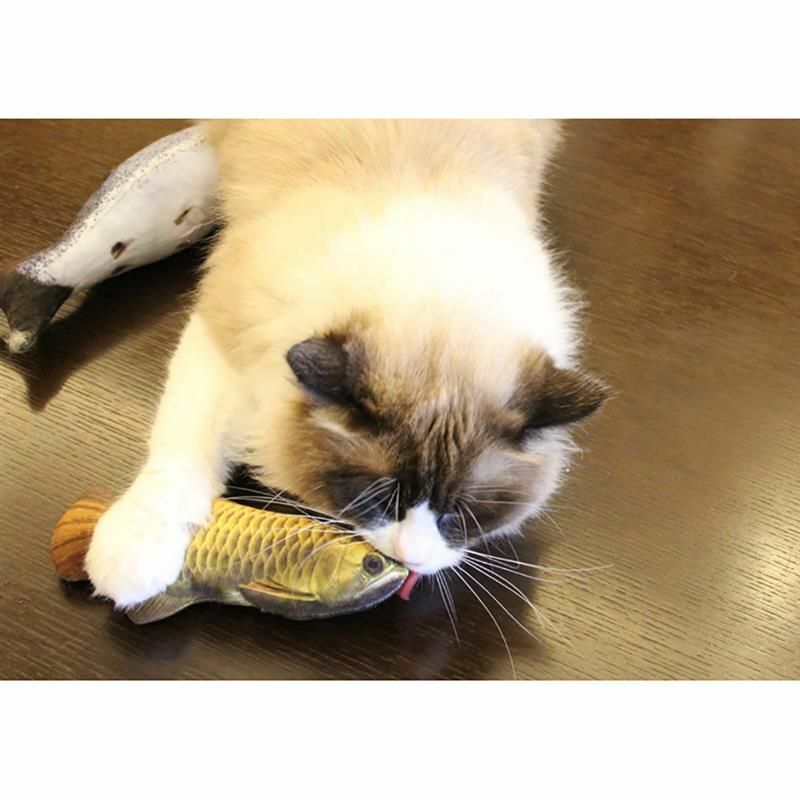 Cat Toy Pet Soft Plush 3D Fish Shape Interactive Gift Catnip Stuffed Pillow Doll