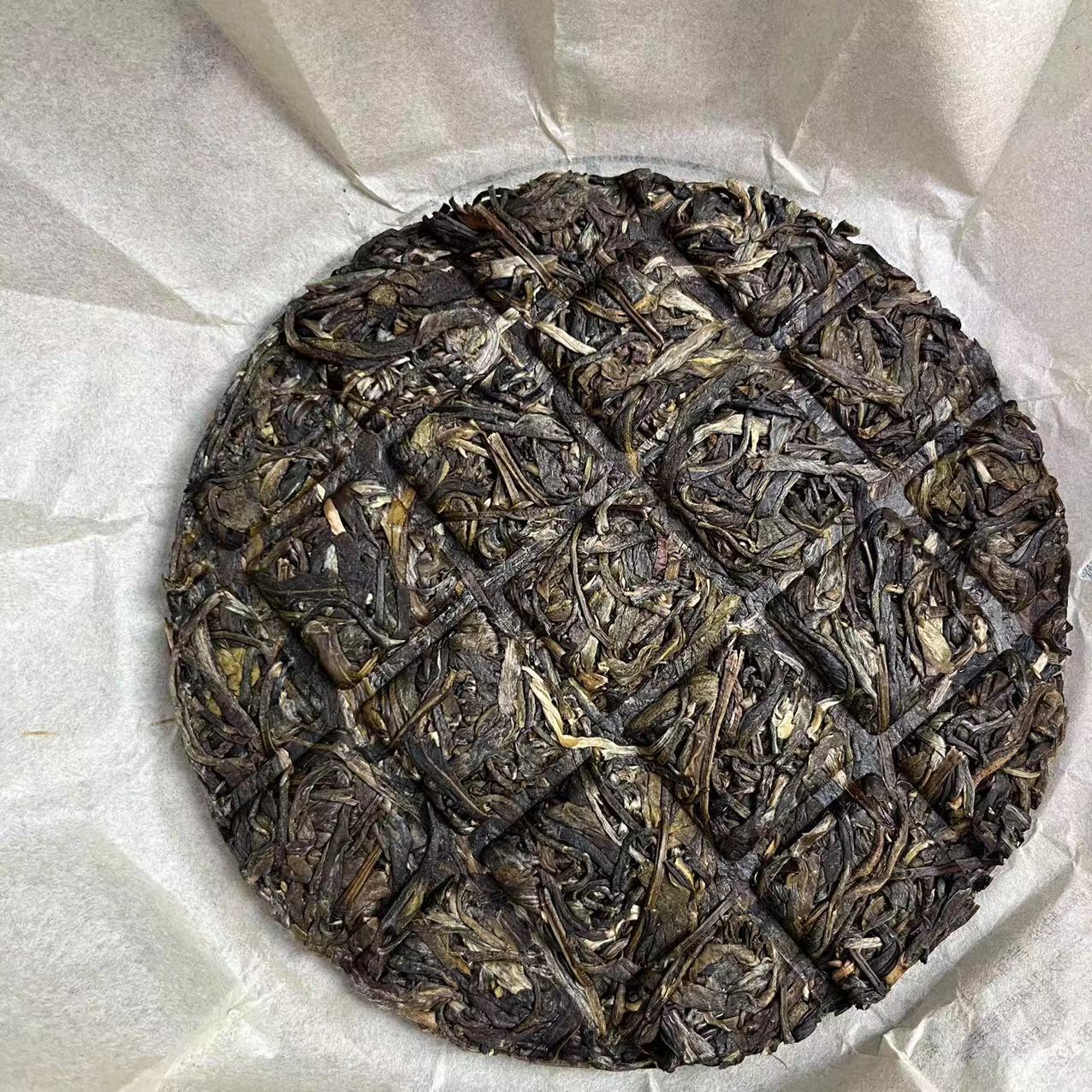 Pasha Big Tree Spring Tea Raw Tea Cake 100g