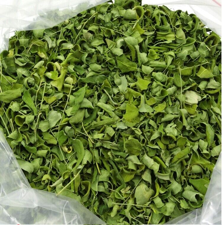 Moringa oleifera dry leaf drum stick herbal tea skin and hair healthy new product-