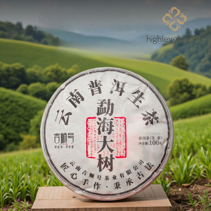 100g 2020 Spring Raw Puer Tea Cake Menghai Yunnan Big Leaf Ancient Tree Tea
