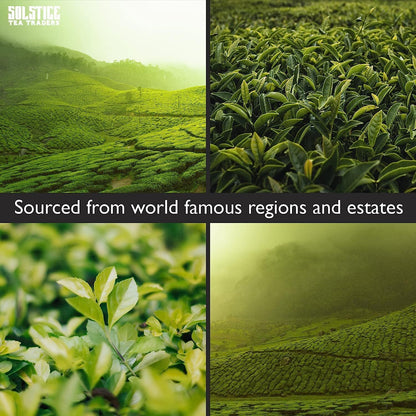 康普茶散叶茶“普洱爱好者”8盎司,100%老年普洱茶-