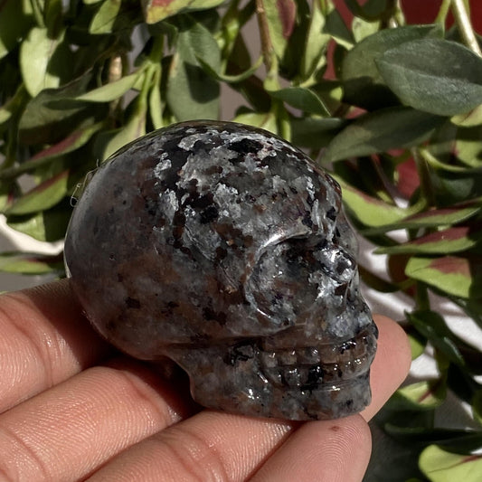 1pc Natural Yooperite Quartz Carved Crystal Skull Reiki Healing 2"