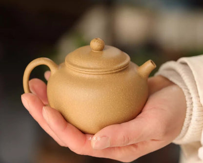 180cc chinese Yixing Handmade Zisha teapot Duan Clay ManYuan Hu Gongfu Tea Pot