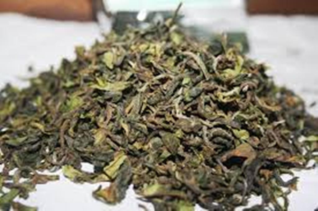 Darjeeling Green Tea (FRESH SECOND FLUSH 2026 ) ARYA ORGANIC GREEN TEA 1LB