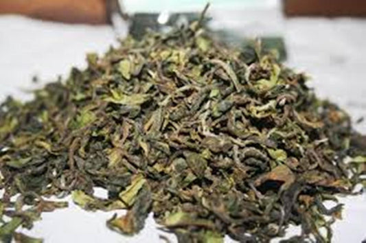 Darjeeling Green Tea (FRESH SECOND FLUSH 2026 ) ARYA ORGANIC GREEN TEA 1LB