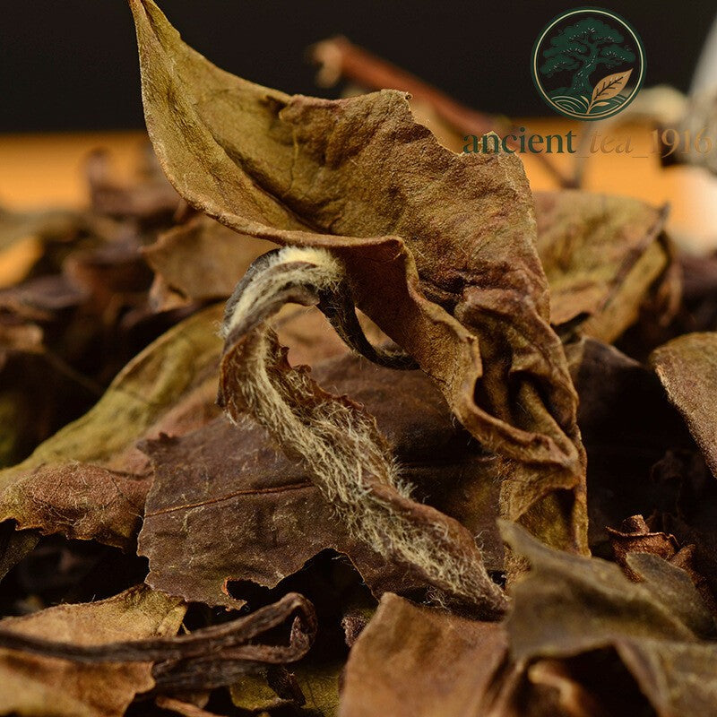 350g White Tea Cake Premium Aged Fuding Shou Mei Long Life Eyebrow Tea