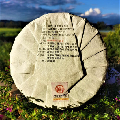 Yunnan Qizi Cake High Quality Green Tea 357g Xigui Ancient Tree Pu'er Tea