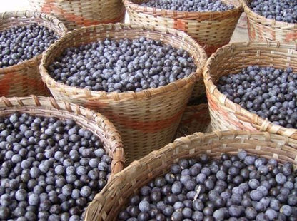 ACAI Assai freeze dried powder 4oz 8oz 16oz 1lb 32oz 2lb 4lb 10lb 55lb - PAJE