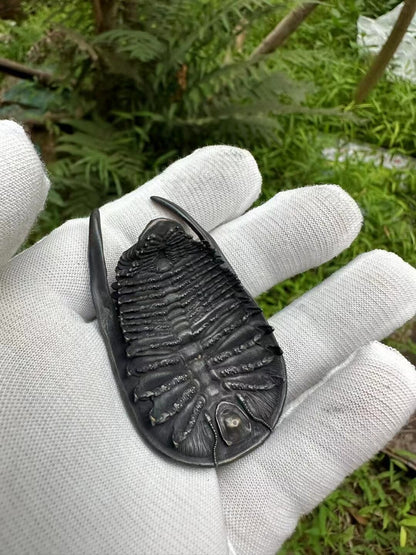 Chinese Old Bronze Hand Casting Trilobite Statue Netsuke Collectable Ornament