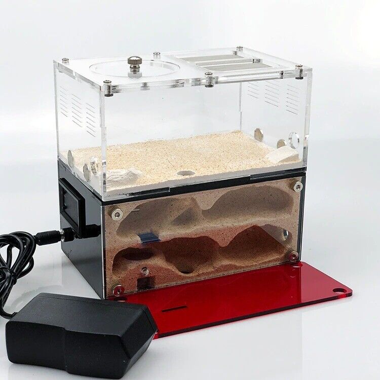 Insect House Ant Farm Colony Formicarium Auto Heating 15x10x13.5cm Concrete Sand