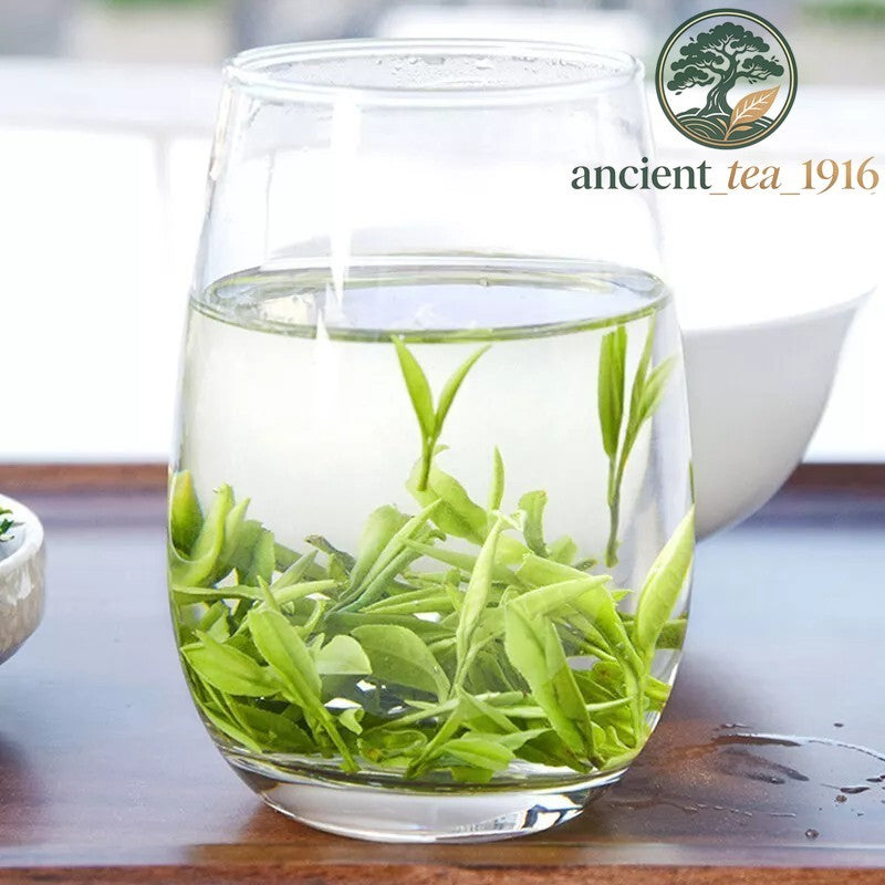 200g Premium Huangshan Maofeng GREEN TEA Chinese Yellow Mountain Mao Feng Tea