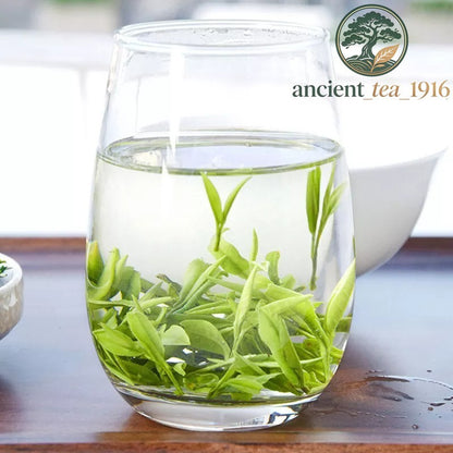 200g Premium Huangshan Maofeng GREEN TEA Chinese Yellow Mountain Mao Feng Tea
