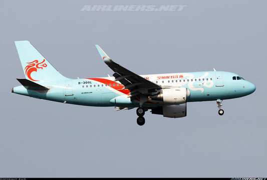 1:400 PandaModel LOONGAIR A319 B-305L Passenger Airplane Diecast Model