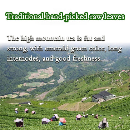 Taiwan Aligaoshan Jinxuan Tea Fragrant Taiwan Oolong Tea Top quality oolong tea