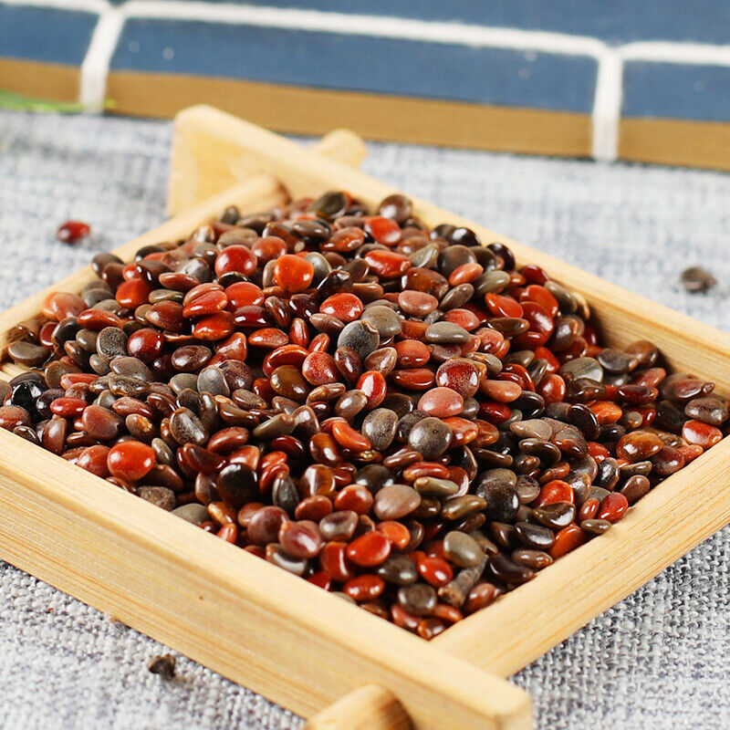 250g/500g Top Grade High Quality zhijuzi Chinese organic herbs Health Care 枳椇子