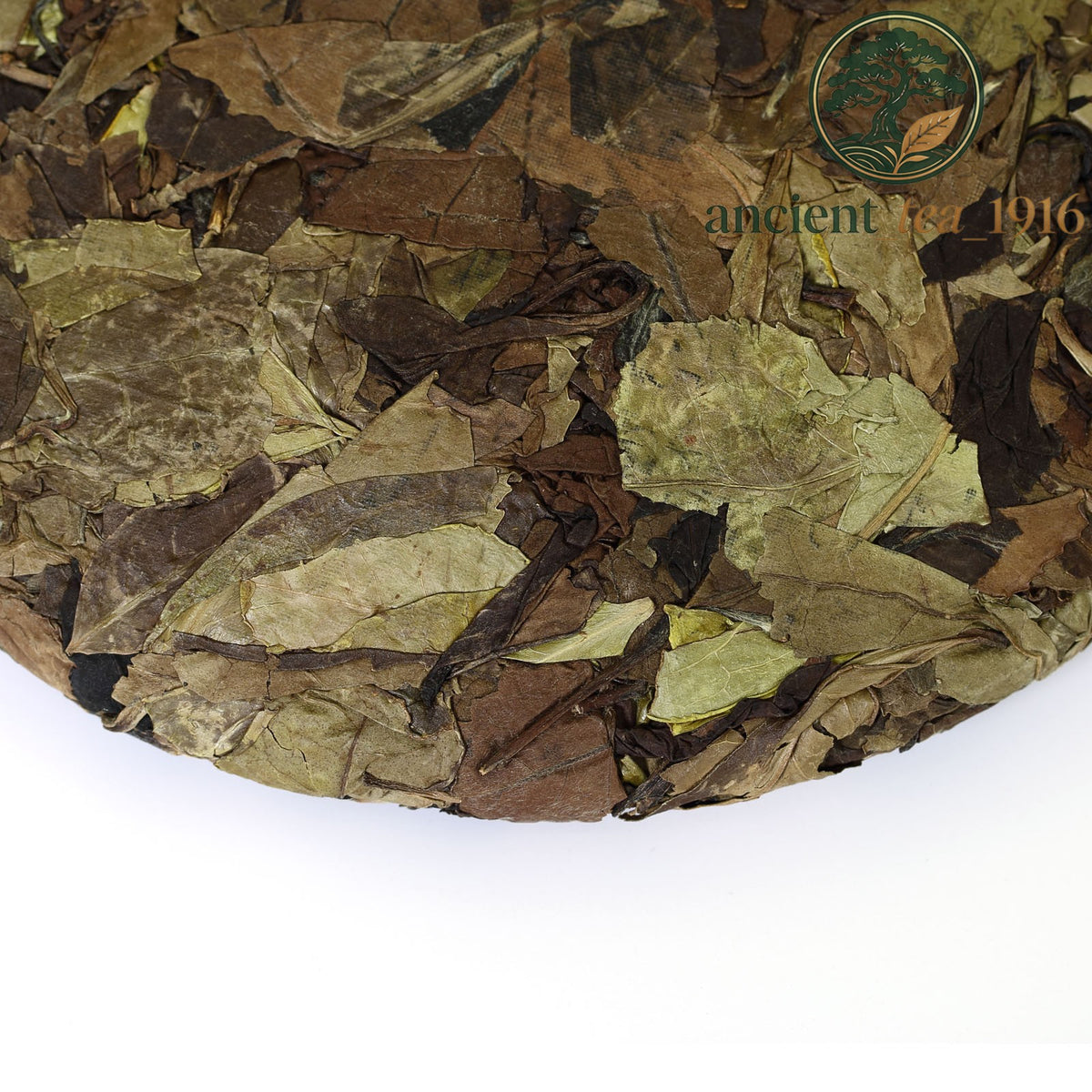 2015 Year 300g Fuding Shou Mei Leaf Slice Aged Cake White Tea